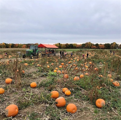 All Aboard! Hayrides to the Pumpkin Patch. Every weekend in October.